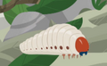 Beetle Grub.png (87 KB) Beetle Grub