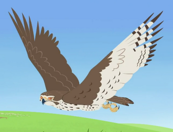 Prairie Falcon | Wild Kratts Wiki | Fandom