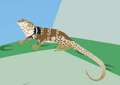 CollardLizard.png (157 KB) CollardLizard