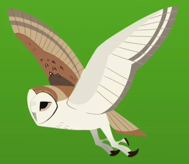 Owl Wild Kratts | atelier-yuwa.ciao.jp
