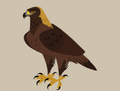 Golden Eagle.png (76 KB) Golden Eagle