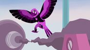 Parrot Power | Wild Kratts Wiki | Fandom