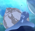 DogWhelk.png (268 KB) DogWhelk