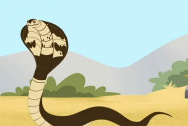 Boa Constrictor, Wild Kratts Wiki