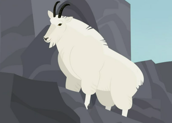 Mountain Goat | Wild Kratts Wiki | Fandom
