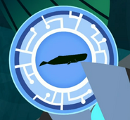 Sperm Whale Power Disc