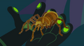 Goliath Birdeater.png (233 KB) Goliath Birdeater