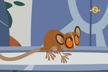 lemur mouse pygmy conservation status kratts wild