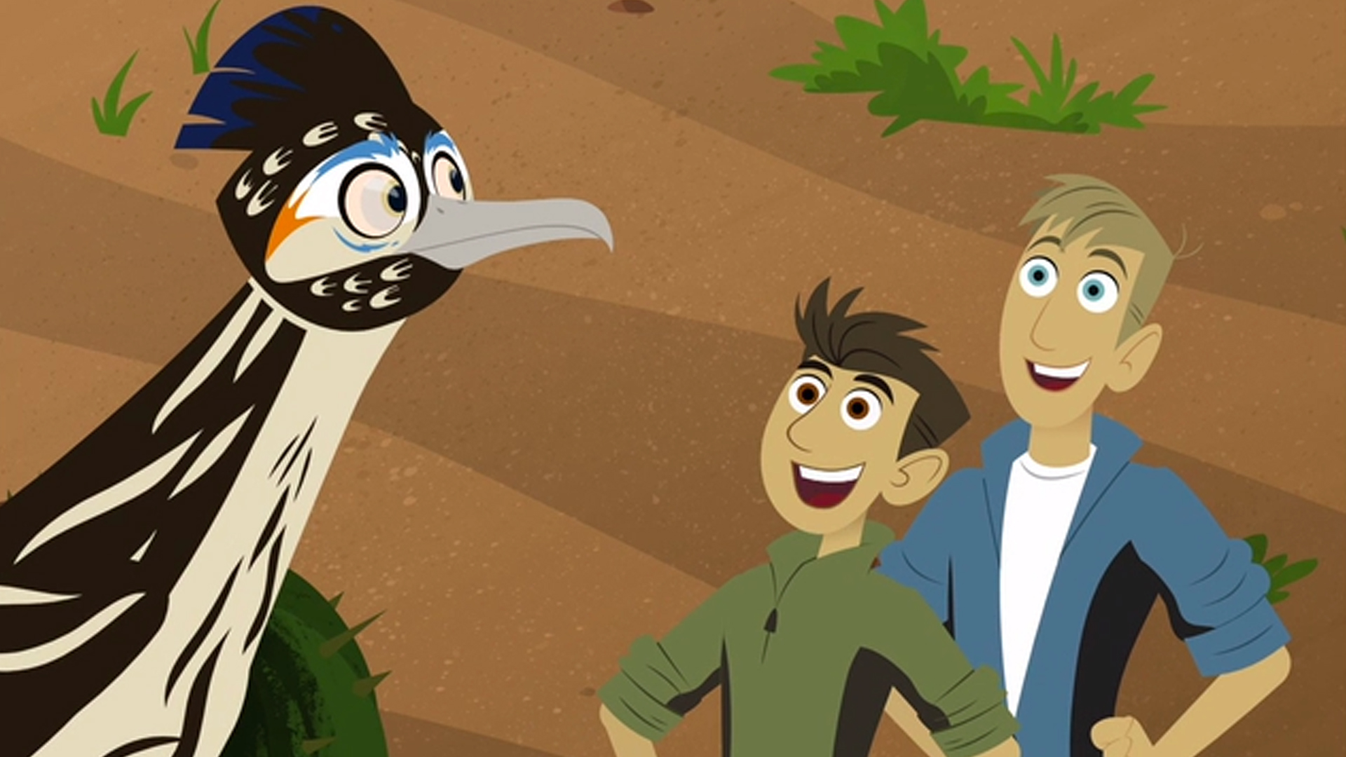 Crocogator Contest, Wild Kratts Wiki