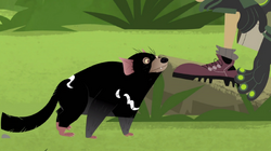 Wild kratts tasmanian devil top full episode
