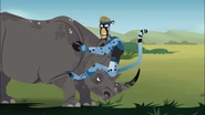 After getting startled by the honey badger a second time, Martin has crashed into a rhino.
