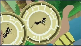 Disc