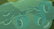 Poisontadpoles.png (588 KB) Yellow with his siblings