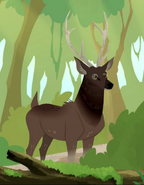 Sambar (Rusa unicolor)