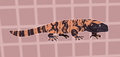 Gila Monster.png (273 KB) Gila Monster