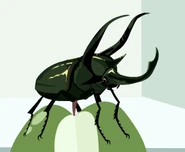 Atlas Beetle (Chalcosoma atlas)