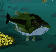 Largemouth Bass (Micropterus salmoides)