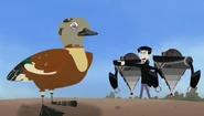 Zach pointing to a duck