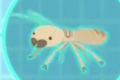 Eastern Subterranean Termite.png (77 KB) Eastern Subterranean Termite