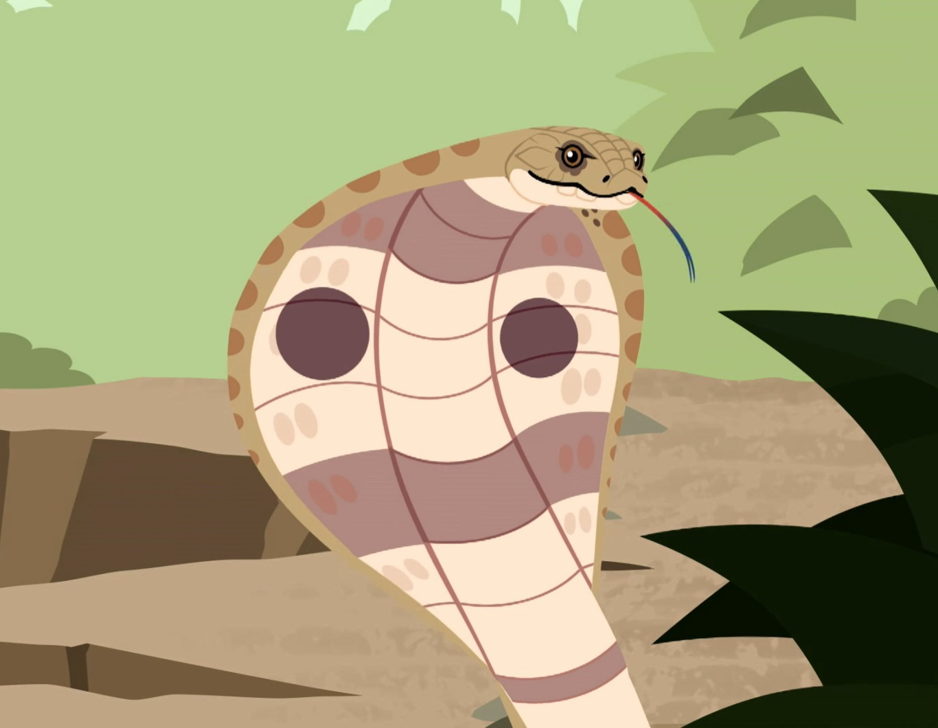 Spectacled Cobra, Wild Kratts Wiki