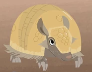 Brazilian Three-Banded Armadillo (Tolypeutes trincictus)