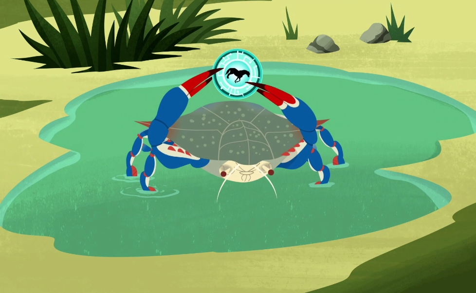 Wild Pony Power | Wild Kratts Wiki | Fandom