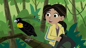 Birds Of A Feather Wild Kratts Wiki Fandom