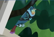 Hummingbird Wild Kratts.36.png (175 KB)