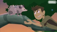 Chris is watching Jill and her joeys nearby.