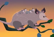 Jillybean (far left) on Jill's back