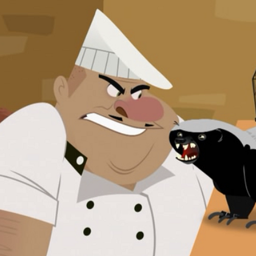 Wild kratts rainforest stew full episode cheap