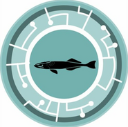 Remora disc