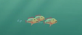 Amazonian Snappers.png (61 KB) Amazonian Snappers