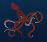 Colossal squid (Mesonychoteuthis hamiltoni)