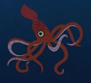Colossal Squid (Mesonychoteuthis hamiltoni)