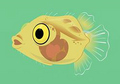 Milletseed Butterflyfish Larva.png (56 KB) Milletseed Butterflyfish Larva