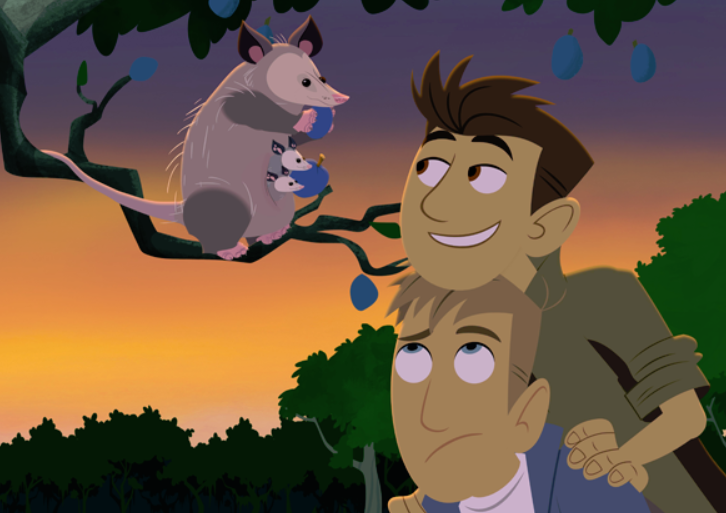 Братья Кратт Авива. Wild Kratts.