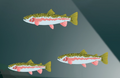 Wkanimals6.png (427 KB) Wkanimals6