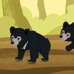 Category:Baby and juvenile animals | Wild Kratts Wiki | Fandom Category:Baby and juvenile animals | Wild Kratts Wiki | Fandom