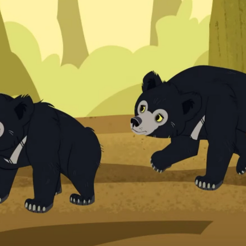 Wild kratts sloth bear suction full episode youtube cheap
