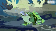 Frogfish Power | Wild Kratts Wiki | Fandom