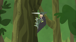 Woodpecker Power Wild Kratts Wiki Fandom Woodpecker Power Wild Kratts Wiki Fandom