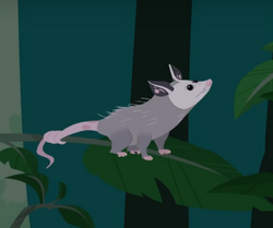 List of animal friends in Wild Kratts | Wild Kratts Wiki | Fandom List of animal friends in Wild Kratts | Wild Kratts Wiki | Fandom