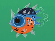 Ocean Sunfish (larva) (Mola mola)