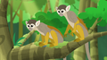 Humboldt's Squirrel Monkeys.png (912 KB) Humboldt's Squirrel Monkeys