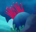 SeaAnemone.png (97 KB) SeaAnemone