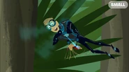Martin scanning the blood of a mosquito he caught
