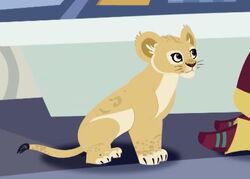 List of animal friends in Wild Kratts | Wild Kratts Wiki | Fandom List of animal friends in Wild Kratts | Wild Kratts Wiki | Fandom