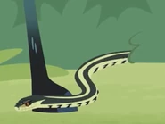 Common Garter Snake (Thamnophis sirtalis)