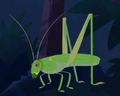 Conehead Katydid.png (336 KB) Conehead Katydid